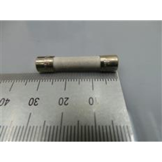 3601-001197 Samsung Microwave Ovens-FUSE-CARTRIDGE Spare Replacement Parts from samsungparts.nz