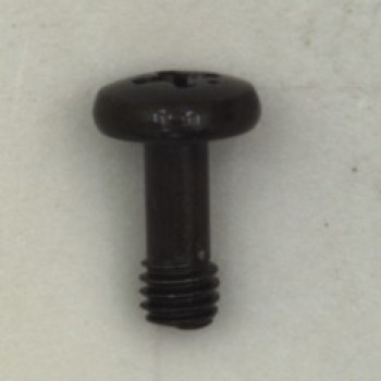 6001-001547 | Monitor Screw L10 M4