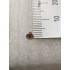 6001-001560 | Galaxy Machine Screw
