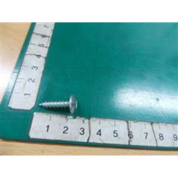 6002-001308 | Monitor Tapping Screw