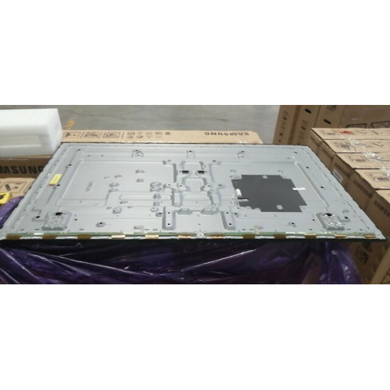 BN95-06282A | TV Screen Panel