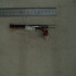 DA47-10148U | Refrigerator Thermostat Fuse